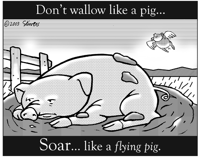 Don’t wallow like a pig
